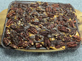 Turtle Bark